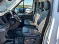 Ford Transit  Kasten 2,0 EcoBlue AWD L2H2 350 Trail Weiß - thumbnail 9