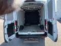 Ford Transit  Kasten 2,0 EcoBlue AWD L2H2 350 Trail Weiß - thumbnail 22