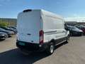 Ford Transit  Kasten 2,0 EcoBlue AWD L2H2 350 Trail Weiß - thumbnail 4