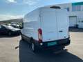 Ford Transit  Kasten 2,0 EcoBlue AWD L2H2 350 Trail Weiß - thumbnail 6