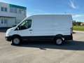 Ford Transit  Kasten 2,0 EcoBlue AWD L2H2 350 Trail Weiß - thumbnail 8