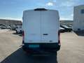 Ford Transit  Kasten 2,0 EcoBlue AWD L2H2 350 Trail Weiß - thumbnail 5