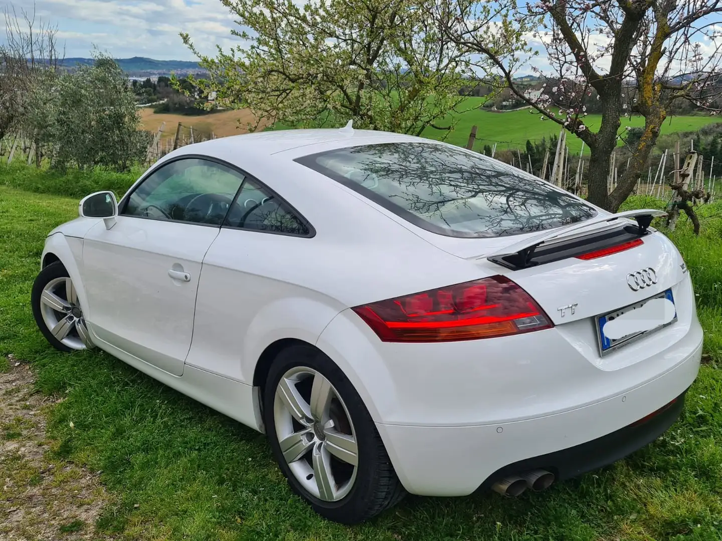 Audi TT TT II 2006 Coupe Coupe 2.0 tdi Advanced quattro Bianco - 2