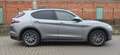 Alfa Romeo Stelvio Stelvio 2.2 t Super Q4 210cv auto Grau - thumbnail 4