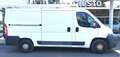 Citroen Jumper 2.2Hdi 131Cv L2H1 Motore ric+Allestimento Bianco - thumbnail 2