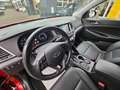 Hyundai TUCSON blue Style 2WD Rot - thumbnail 12