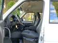 Mahindra Goa S10 Doble Cabina 4x4 Weiß - thumbnail 35