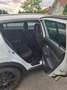 Kia Sportage Active 2,0 CRDi 4WD DPF Weiß - thumbnail 10