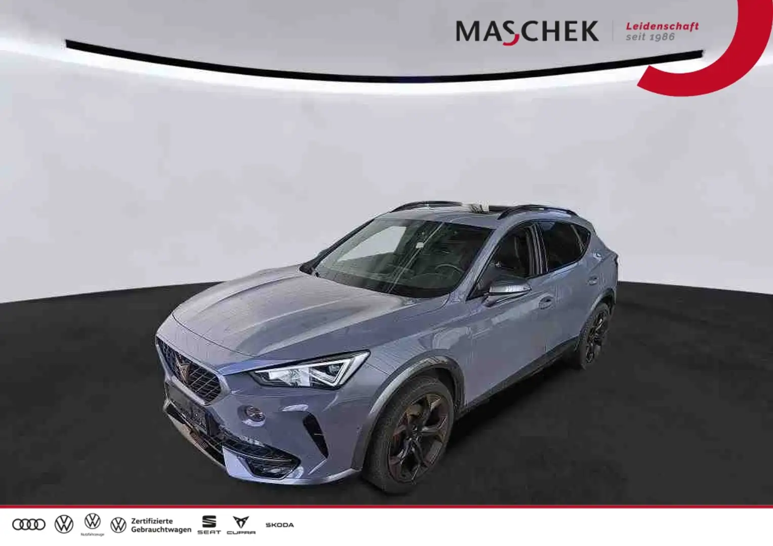 CUPRA Formentor 2.0 TSI DSG Pano *Beats* 360° LM19 Pano Gris - 1