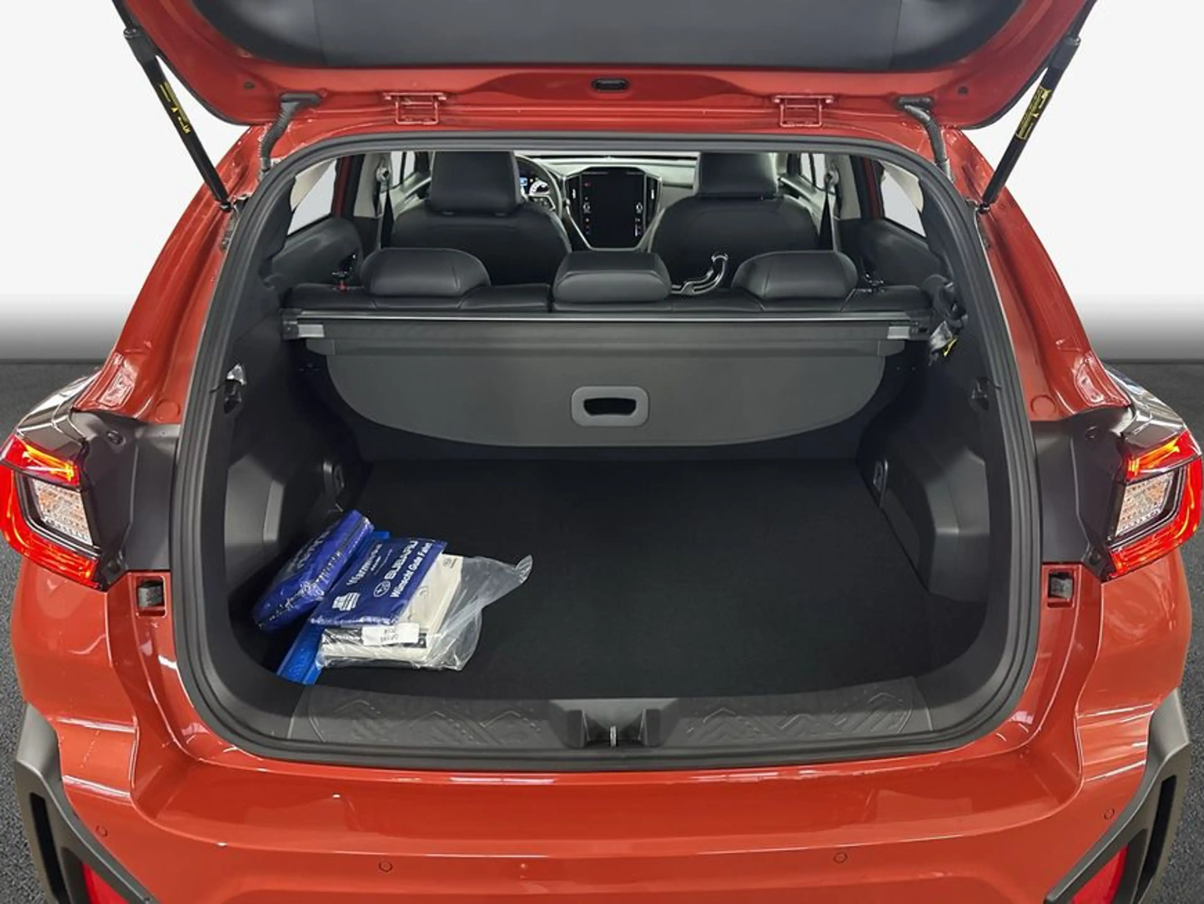 Subaru Crosstrek Crosstrek 2.0ie Platinum MJ24 — photo 8