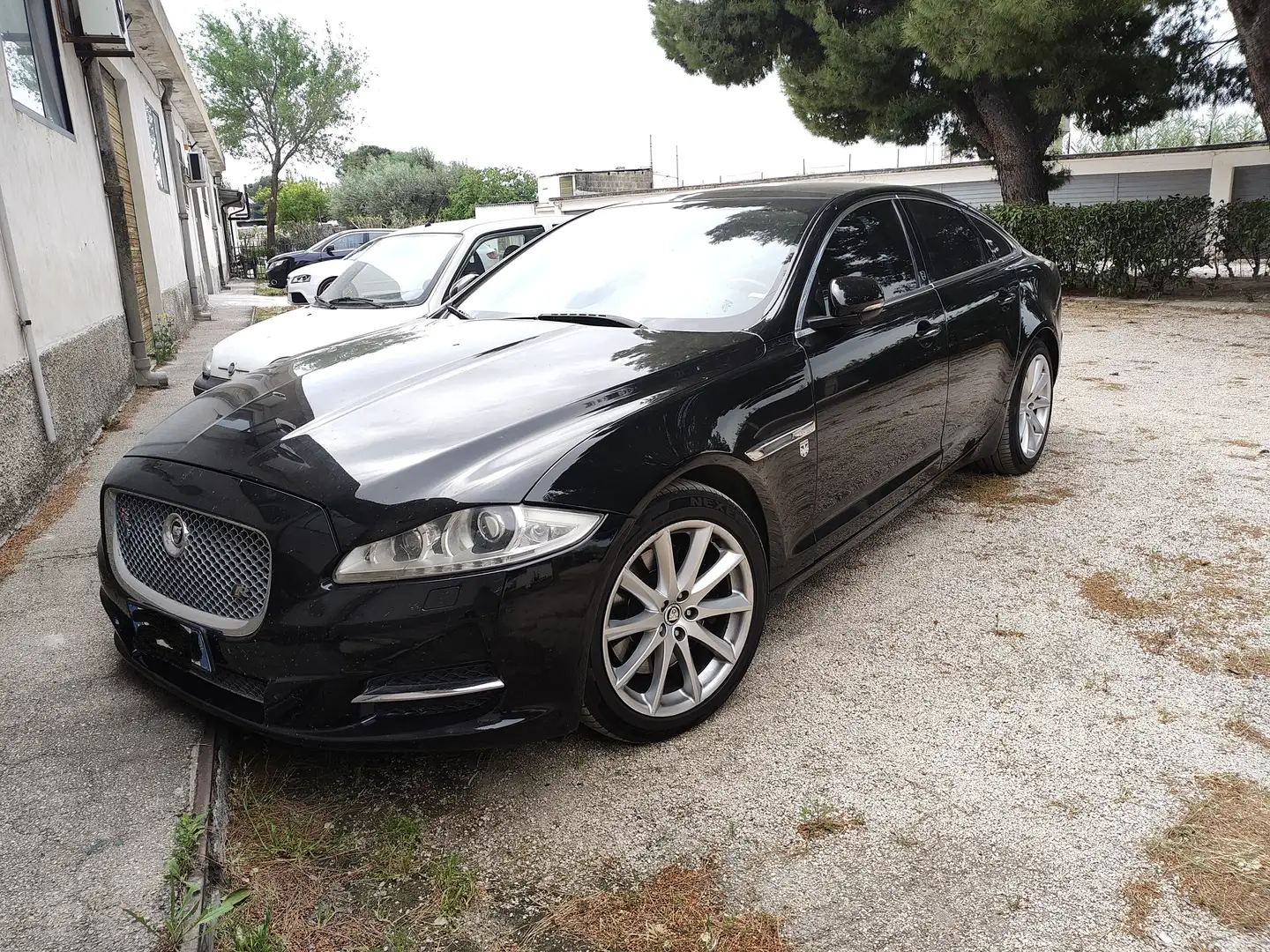 Jaguar XJ XJ 3.0d V6 Premium Luxury auto Nero - 1