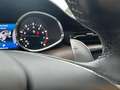 Maserati Quattroporte V6 S Q4 Granlusso "INTERNI ZEGNA E MOTORE FERRARI" Gris - thumbnail 12