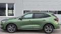 Ford Kuga 1,5 EcoBoost ST-Line Grün - thumbnail 3