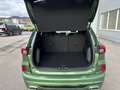 Ford Kuga 1,5 EcoBoost ST-Line Grün - thumbnail 6