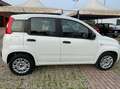 Fiat Panda Panda1.2 Easy Blanco - thumbnail 5
