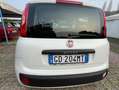 Fiat Panda Panda1.2 Easy Blanco - thumbnail 6