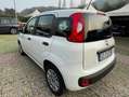 Fiat Panda Panda1.2 Easy Blanco - thumbnail 3