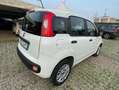 Fiat Panda Panda1.2 Easy Blanco - thumbnail 4
