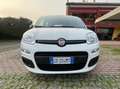 Fiat Panda Panda1.2 Easy Blanco - thumbnail 1