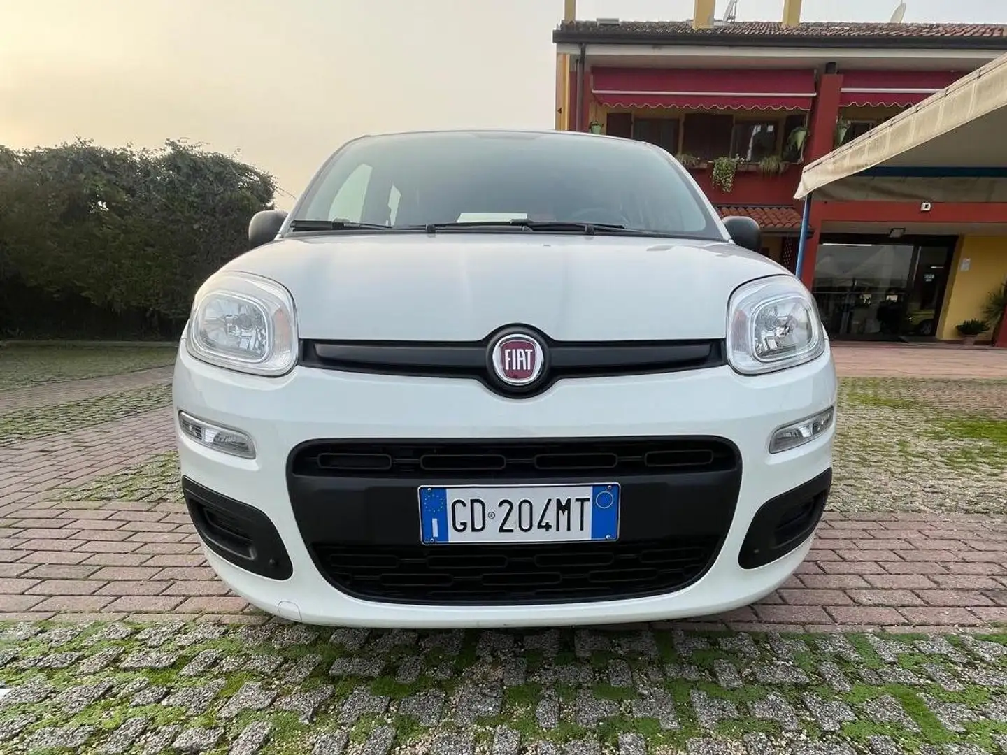 Fiat Panda Panda1.2 Easy Blanco - 1