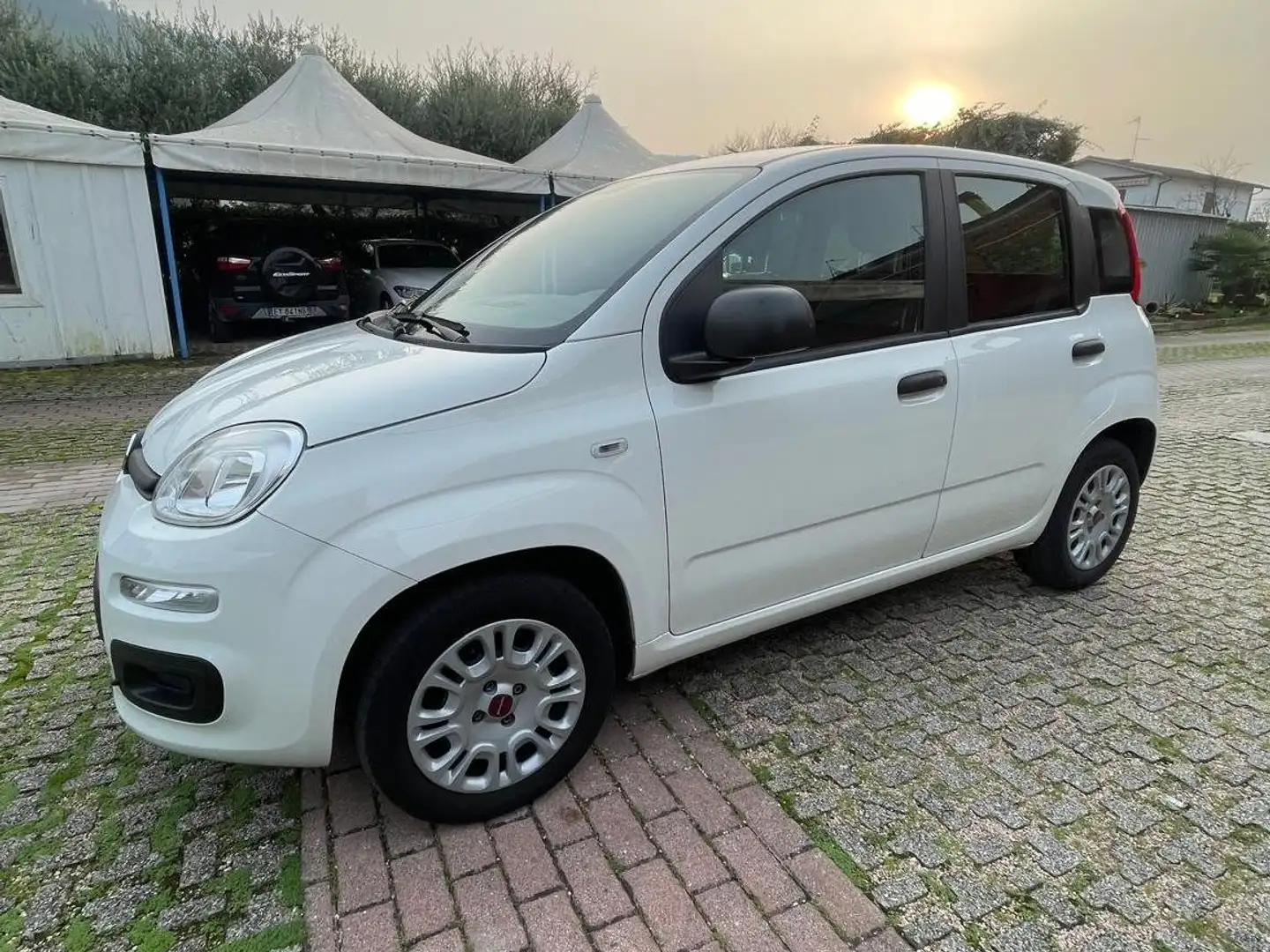 Fiat Panda Panda1.2 Easy Blanco - 2