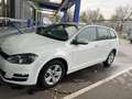 Volkswagen Golf Variant Volkswagen Golf VII 1.6 TDI Blanc - thumbnail 3