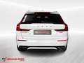 Volvo XC60 B4 (d) AWD Geartronic Momentum Bianco - thumbnail 5