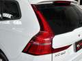 Volvo XC60 B4 (d) AWD Geartronic Momentum Bianco - thumbnail 8