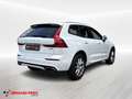 Volvo XC60 B4 (d) AWD Geartronic Momentum Bianco - thumbnail 2