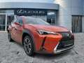 Lexus UX 250h UX 250 h Style Edition CloudNavi*KAM*DAB*SHZ Arancione - thumbnail 8