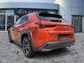 Lexus UX 250h UX 250 h Style Edition CloudNavi*KAM*DAB*SHZ Arancione - thumbnail 6