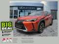 Lexus UX 250h Style Edition CloudNavi*KAM*DAB*SHZ Orange - thumbnail 1