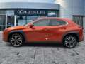 Lexus UX 250h UX 250 h Style Edition CloudNavi*KAM*DAB*SHZ Arancione - thumbnail 4