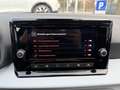 SEAT Ibiza 1.0 TSI Style LED SHZ PDC Kamera Blau - thumbnail 12