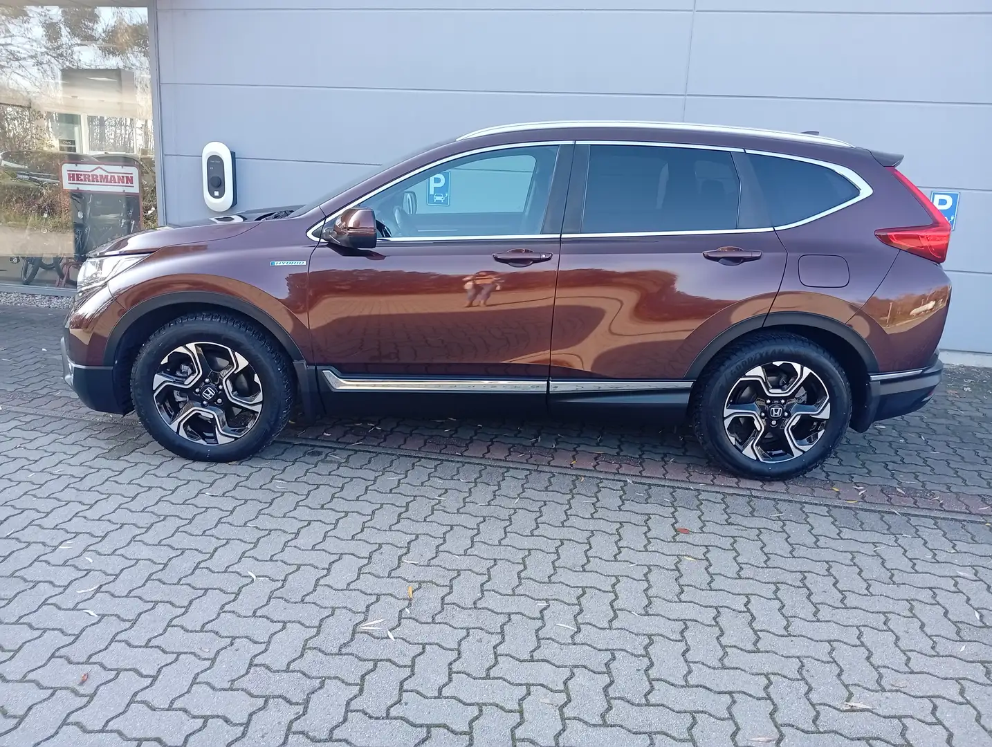 Honda CR-V CR-V 2.0 i-MMD Hybrid 2WD Lifestyle Braun - 2