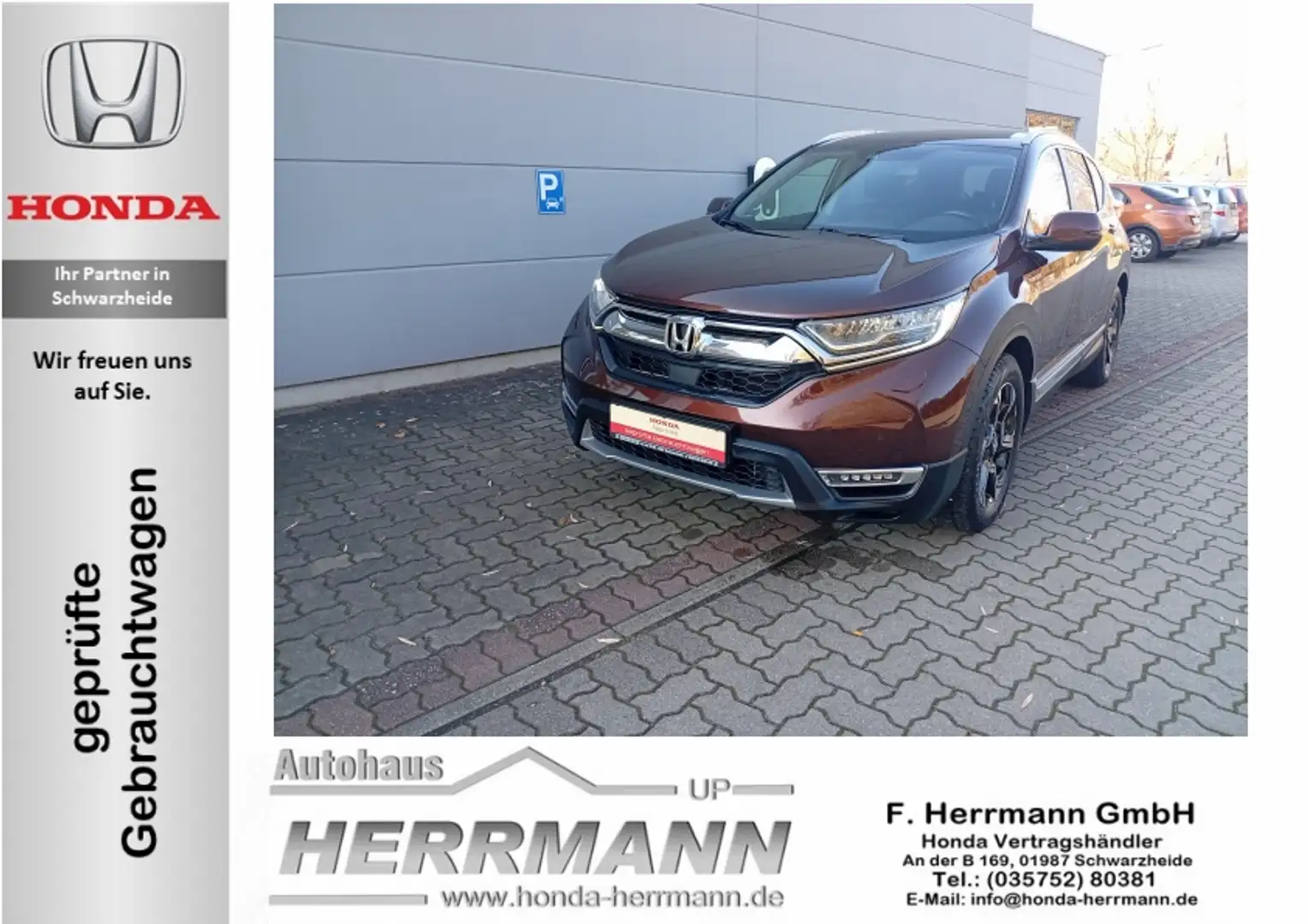 Honda CR-V CR-V 2.0 i-MMD Hybrid 2WD Lifestyle Braun - 1