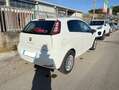 Fiat Punto 3p 0.9 t-air s&s 85cv Bianco - thumbnail 4