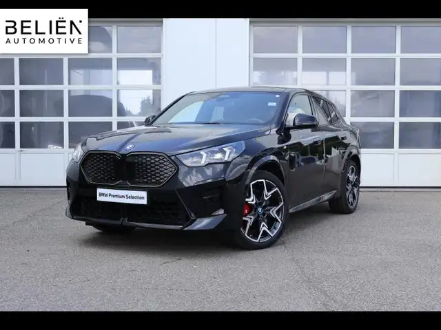 BMW iX2 iX2 30e