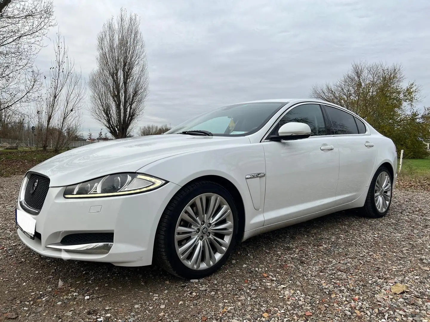 Jaguar XF 2.2 Diesel - 1