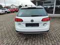 Volkswagen Golf VII 2,0TDi Var/ Alltrack/AHK/Standhzg Blanc - thumbnail 3