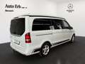 Mercedes-Benz Marco Polo Marco Polo 220 d Automatic PC Horizon Blanc - thumbnail 3