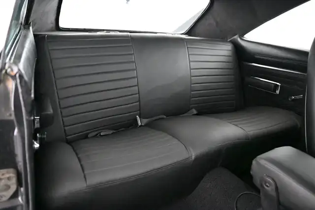 Dodge Charger view 18
