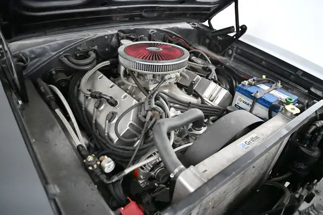 Dodge Charger view 25