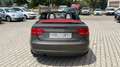 Audi A3 Cabrio 2.0 TDI F.AP. S tronic Ambition Gris - thumbnail 4