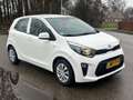 Kia Picanto 1.0 CVVT DynamicLine |nieuwe apk | 5drs | Weiß - thumbnail 7