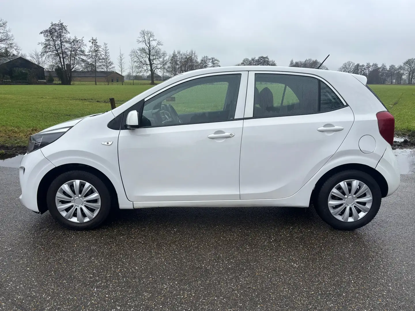 Kia Picanto 1.0 CVVT DynamicLine |nieuwe apk | 5drs | Weiß - 2