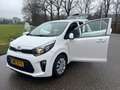 Kia Picanto 1.0 CVVT DynamicLine |nieuwe apk | 5drs | Weiß - thumbnail 9
