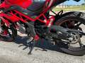 Benelli BN 125 naked Rosso - thumbnail 8