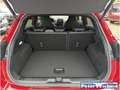 Ford Puma 1.5 EcoBoost EU6d ST X Navi B&O LED Sperrdiff. ACC Rot - thumbnail 10