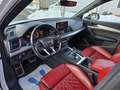 Audi SQ5 3.0 TFSI quattro Weiß - thumbnail 11